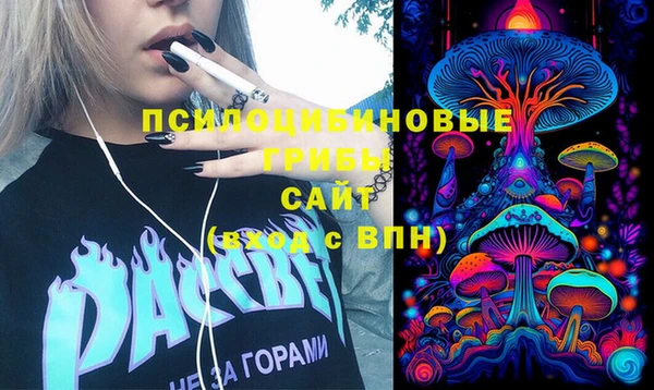 винт Алексин