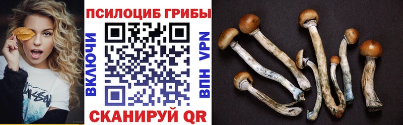 Галлюциногенные грибы прущие грибы Морозовск